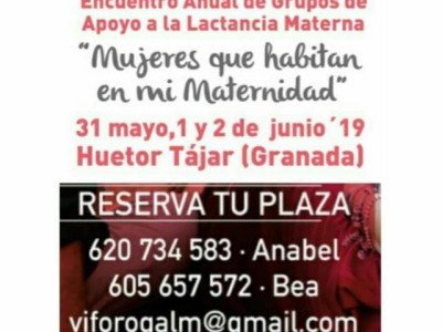 vi foro andaluz cartel